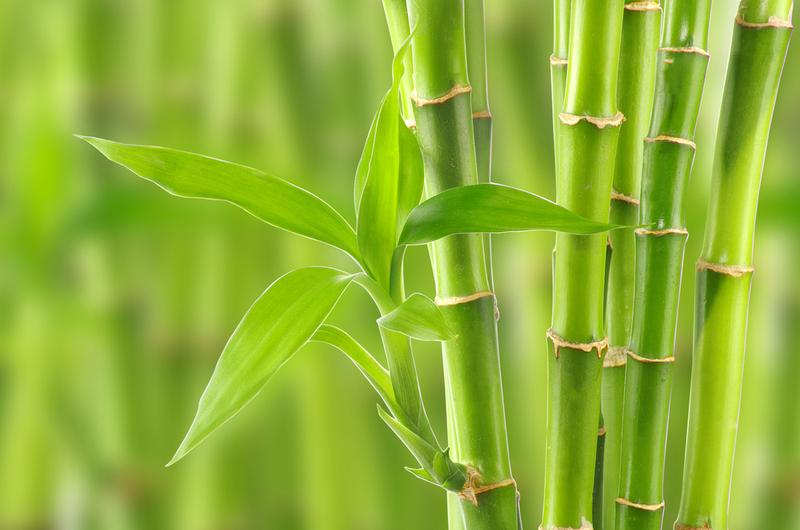 超越经典的宏观经济学，形成新的宏观研究范式